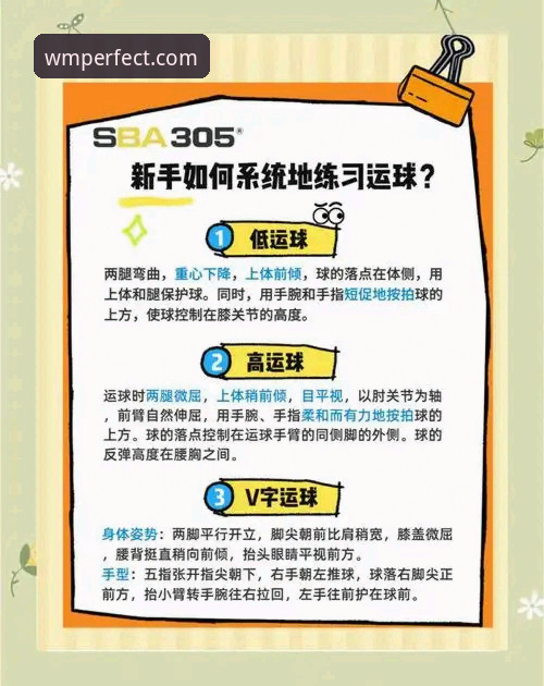 完美体育下载链接 揭秘完美体育下载链接:从新手到高手的完整操作指南