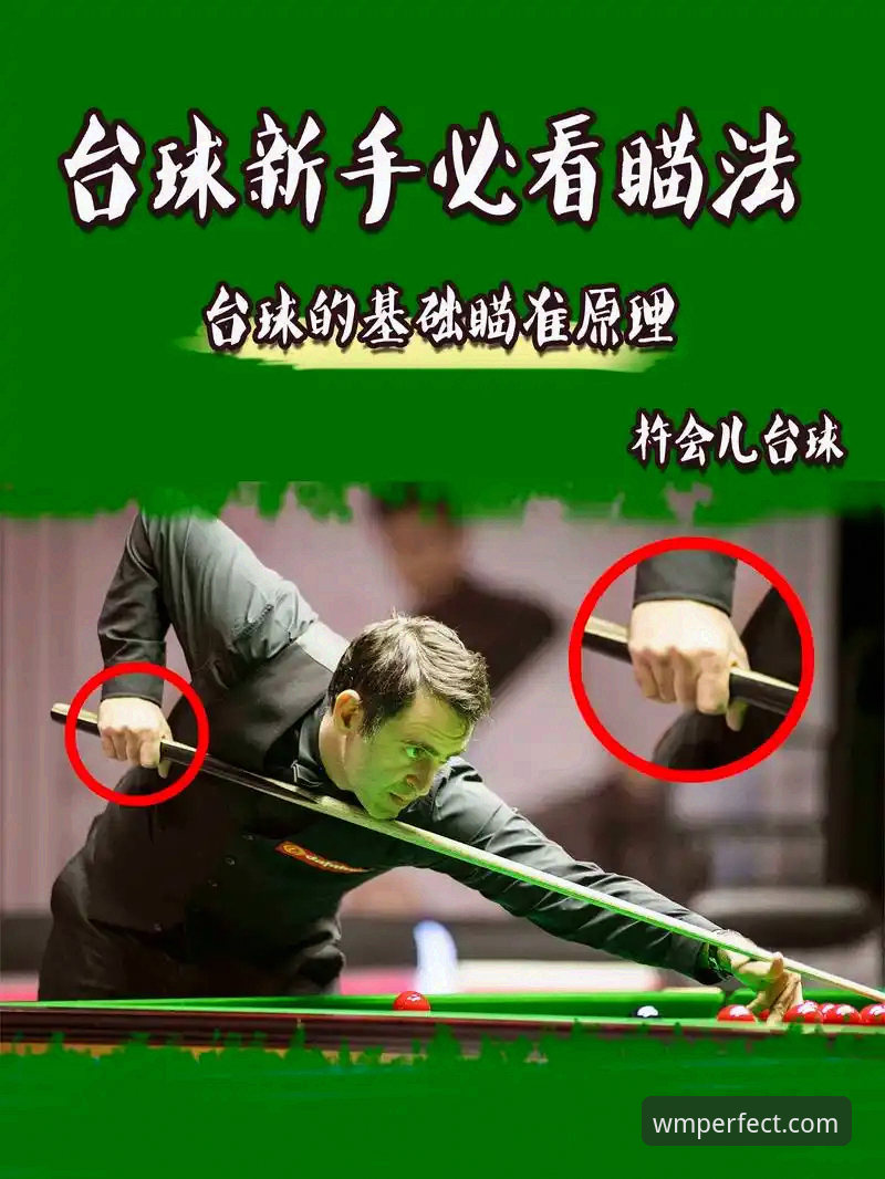 wm完美体育官网入口最新版使用实用指南：新手必备知识
