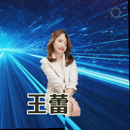 王蕾